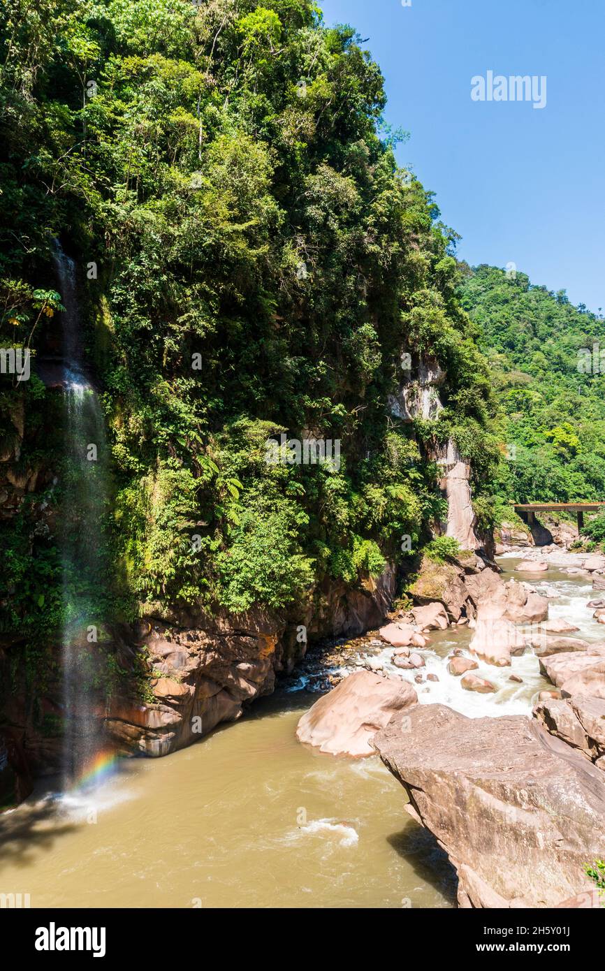 Boquerón del Padre Abad, Aguaytia, Ucayali, Perú, Sudamerica. Foto Stock