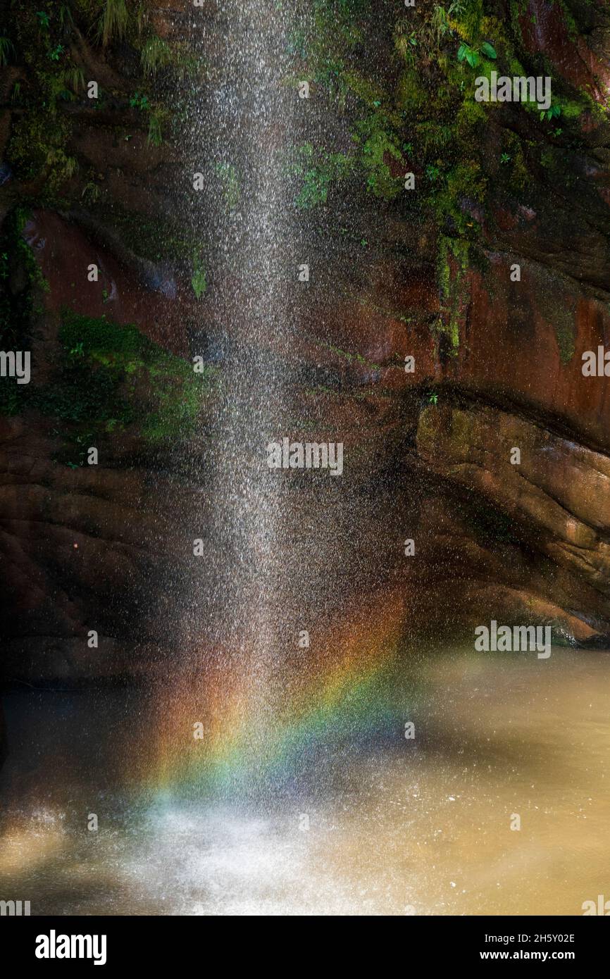 Boquerón del Padre Abad, Aguaytia, Ucayali, Perú, Sudamerica. Foto Stock