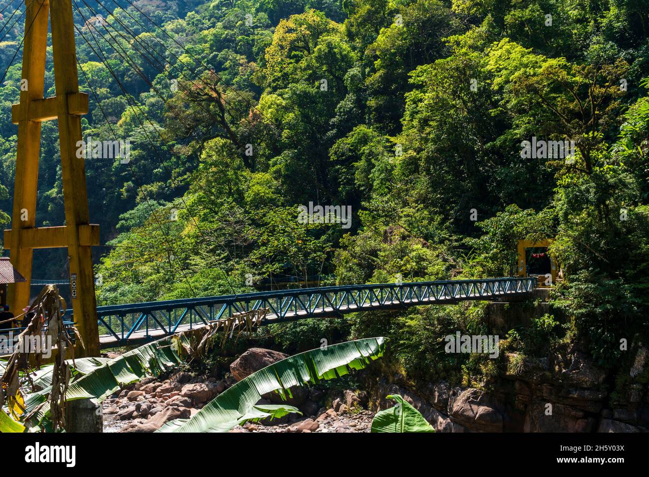 Boquerón del Padre Abad, Aguaytia, Ucayali, Perú, Sudamerica. Foto Stock