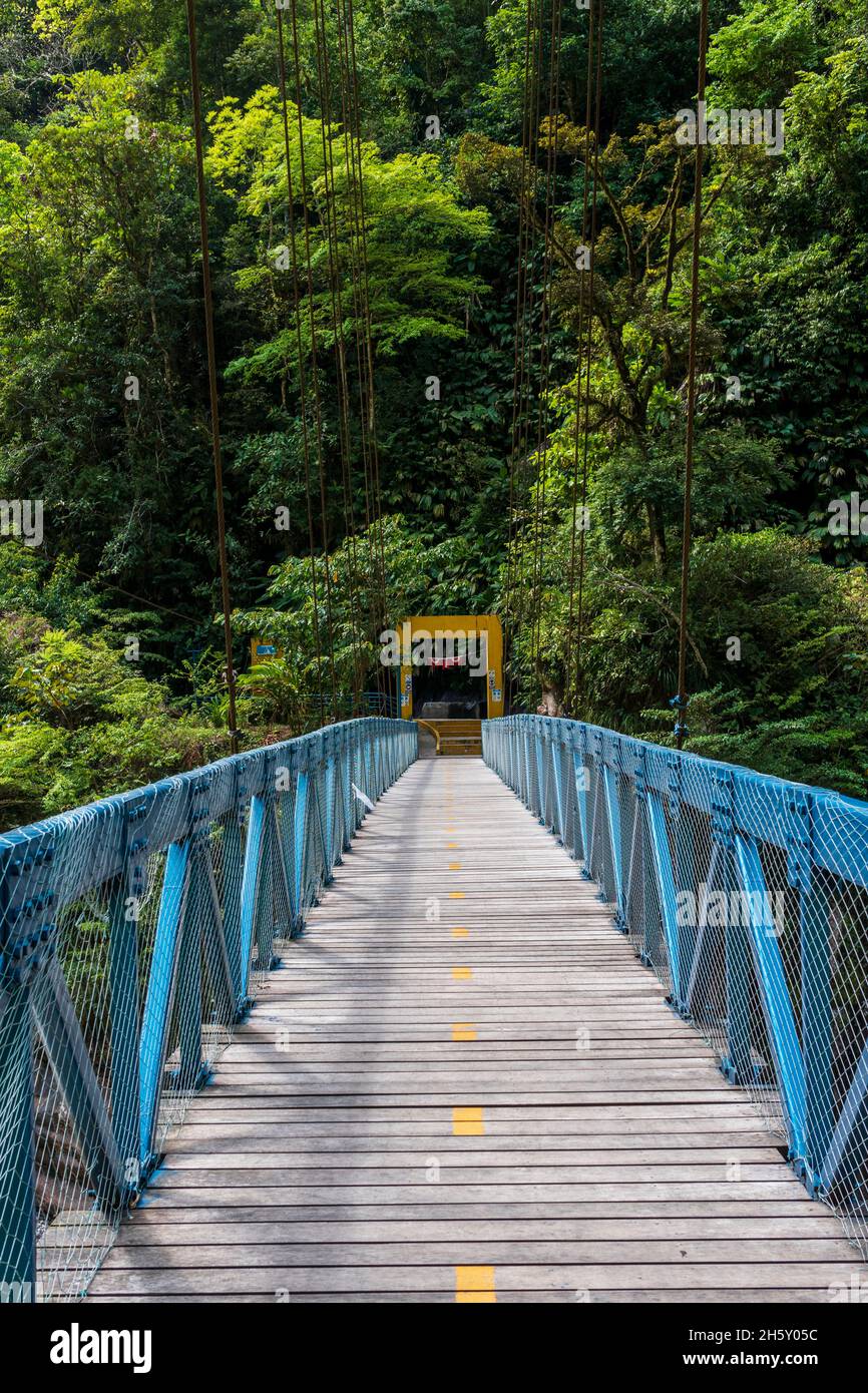 Boquerón del Padre Abad, Aguaytia, Ucayali, Perú, Sudamerica. Foto Stock