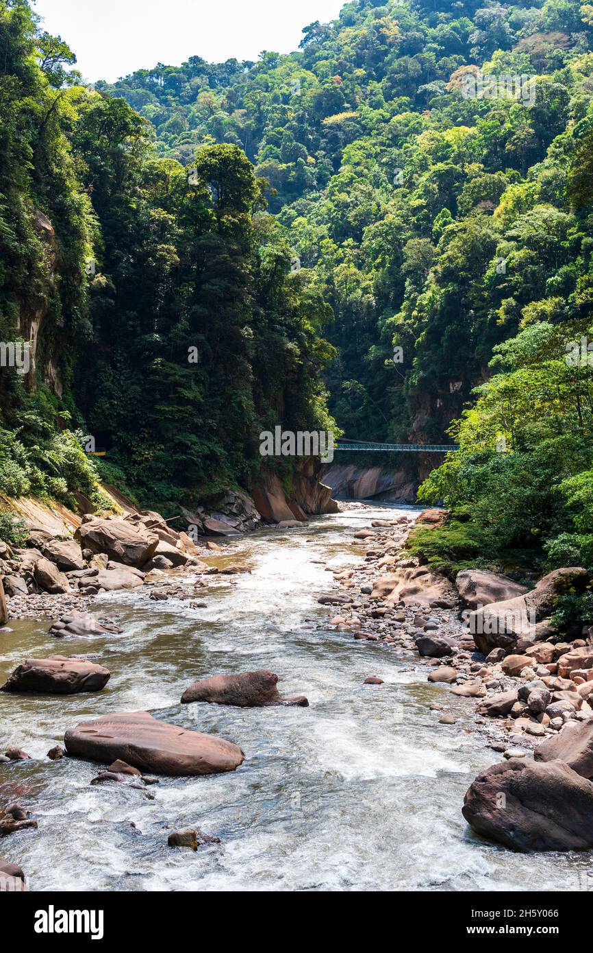 Boquerón del Padre Abad, Aguaytia, Ucayali, Perú, Sudamerica. Foto Stock