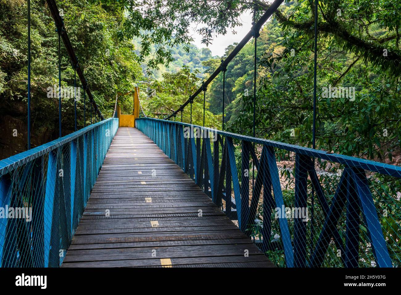 Boquerón del Padre Abad, Aguaytia, Ucayali, Perú, Sudamerica. Foto Stock