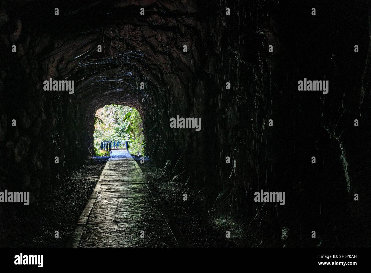 Boquerón del Padre Abad, Aguaytia, Ucayali, Perú, Sudamerica. Foto Stock