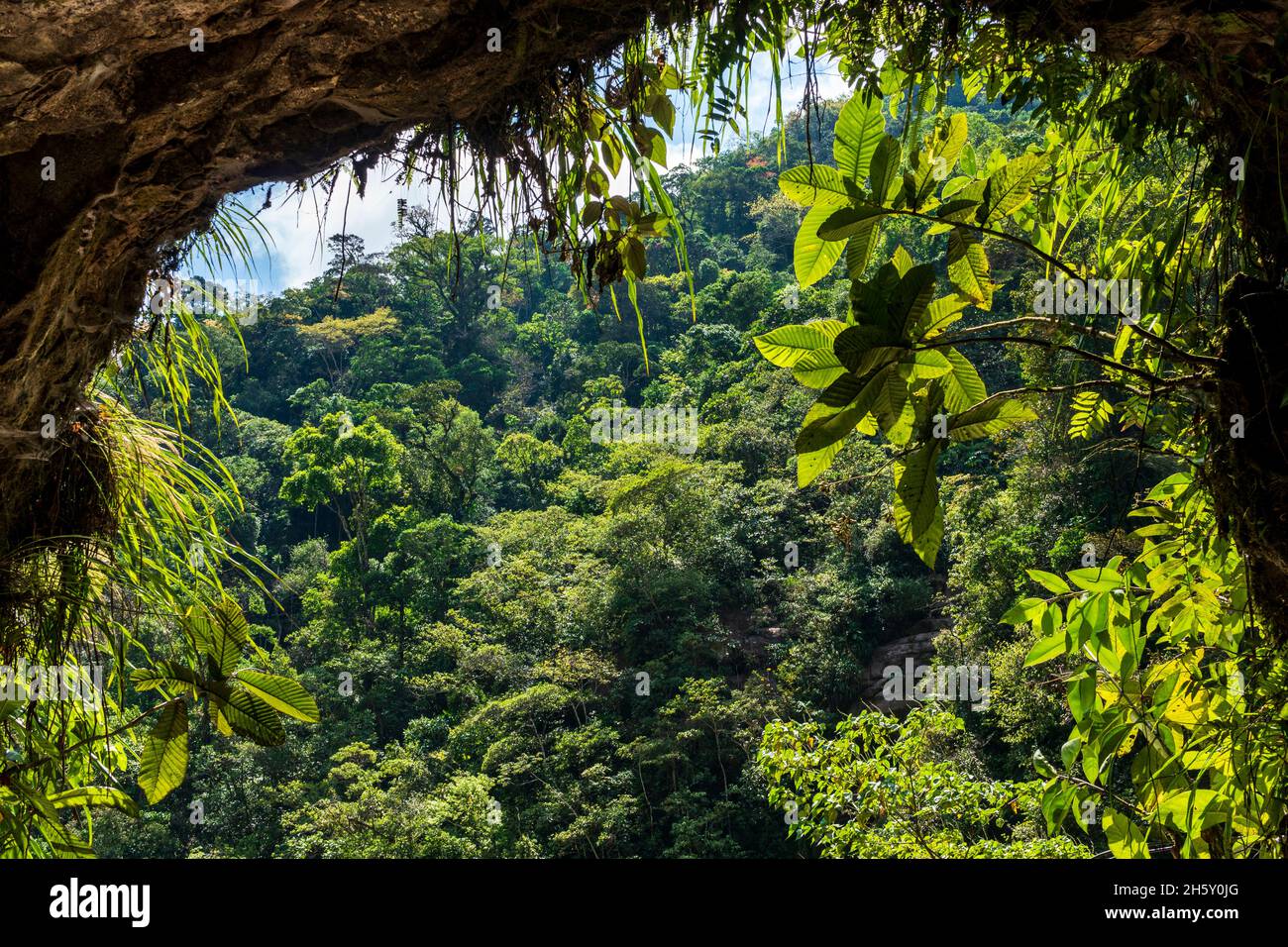 Boquerón del Padre Abad, Aguaytia, Ucayali, Perú, Sudamerica. Foto Stock