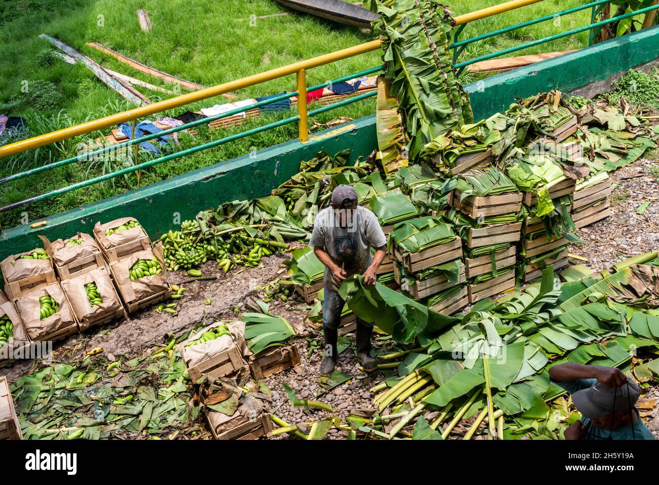 Aguaytia città, Ucayali, Perù, Sud America. Foto Stock