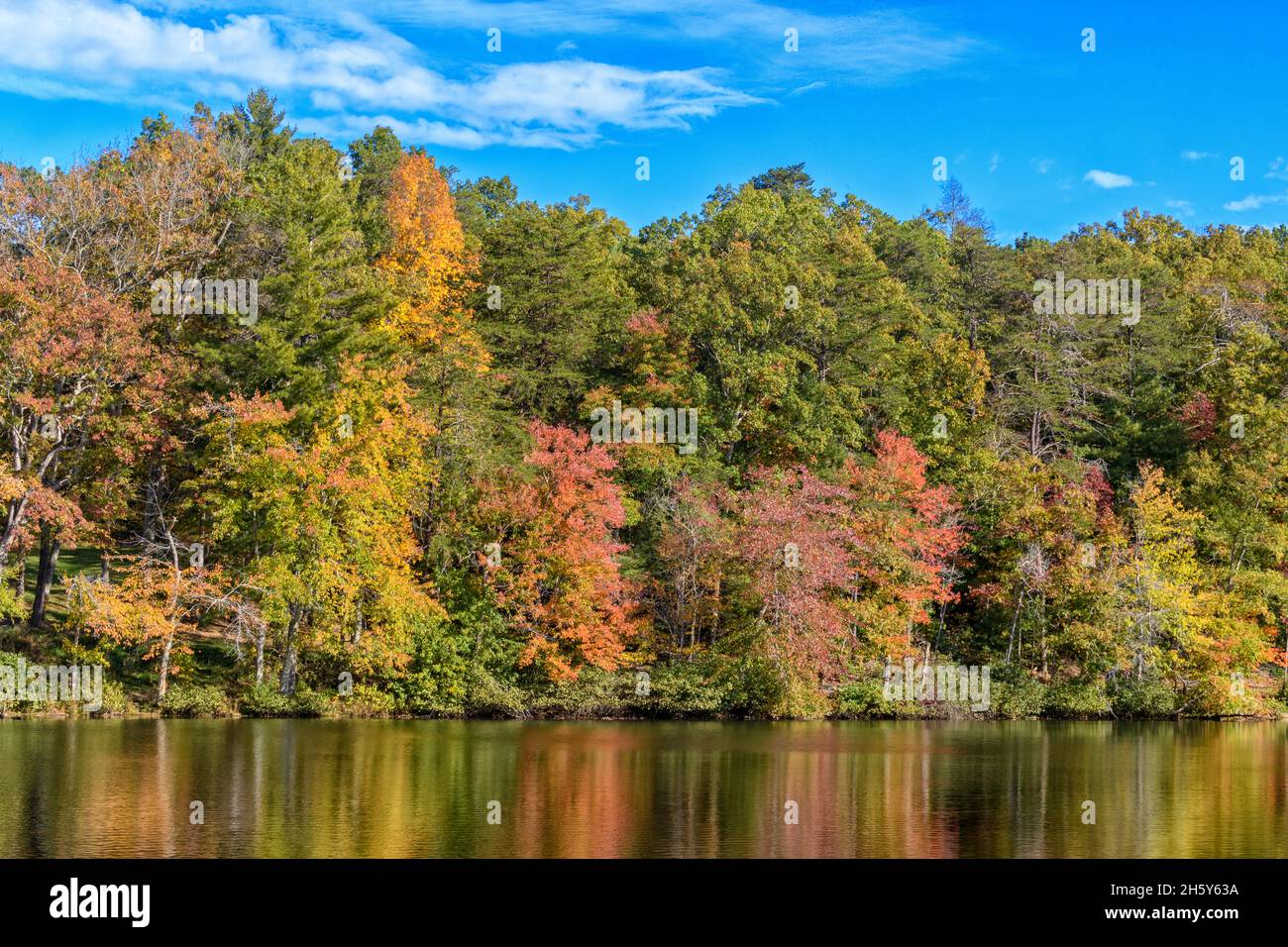 Alberi che si riflettono in acqua, Cumberland Mountain state Park, Tennessee Foto Stock