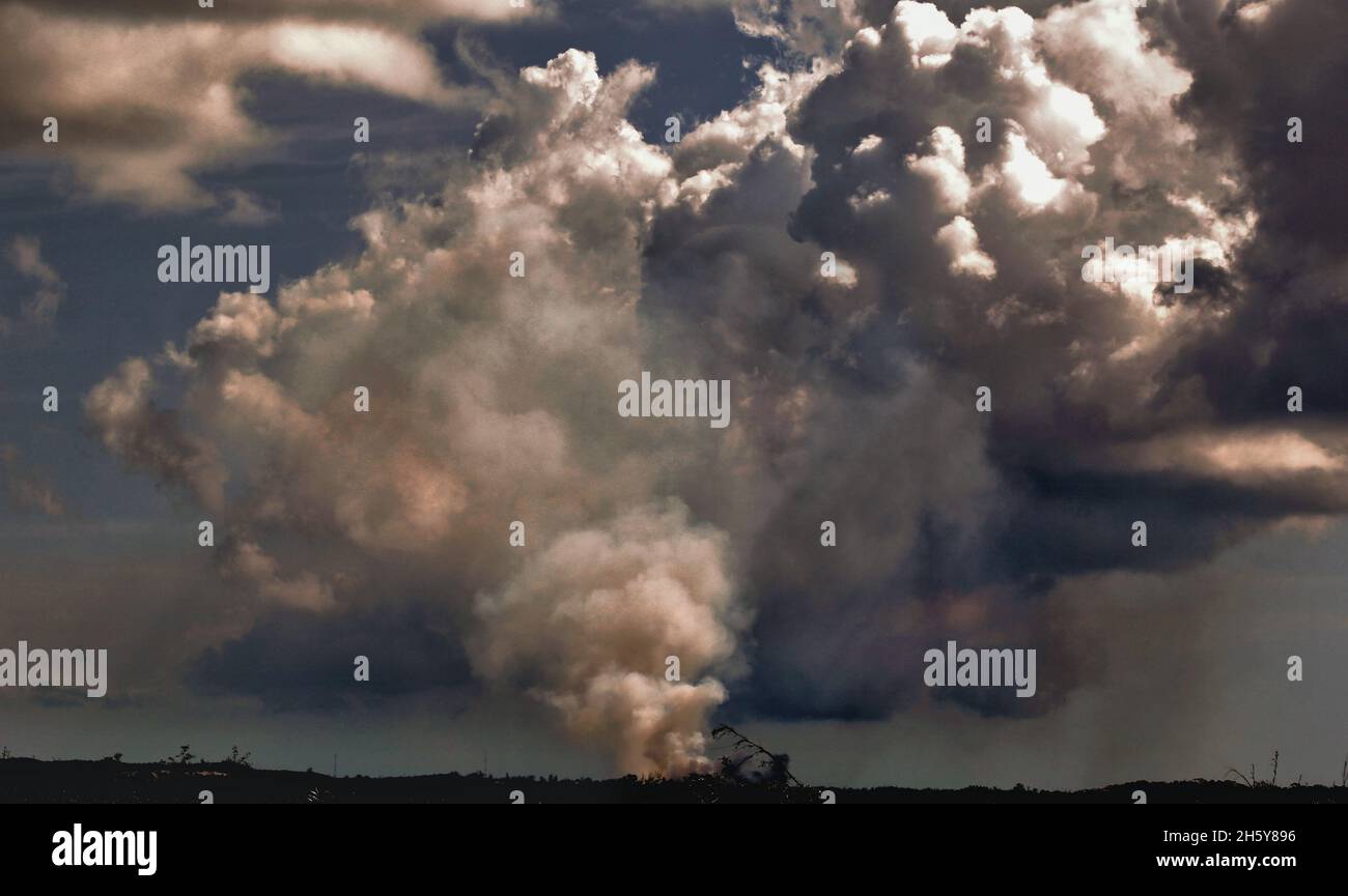 Fuoco che brucia nella forest fuori controllo che invia nubi di inquinamento nel cielo Foto Stock