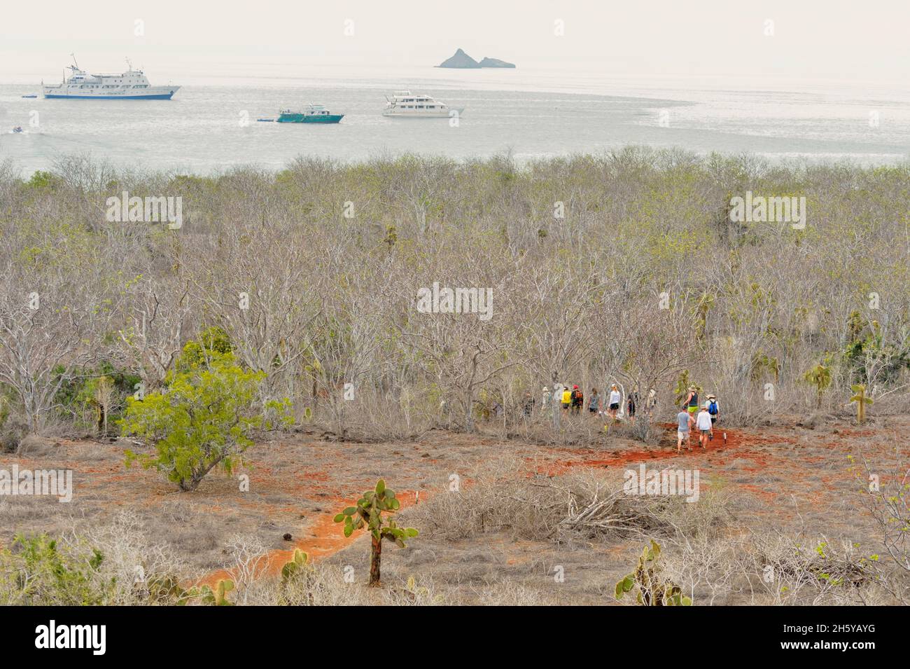 Escursionisti sul sentiero Dragon Hill, Galapagos Islands National Park, Santa Cruz is., Dragon Hill, Ecuador Foto Stock