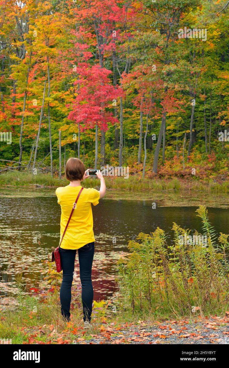 Giovane donna che scatta foto del colore di autunno, Nobel, Ontario, Canada Foto Stock