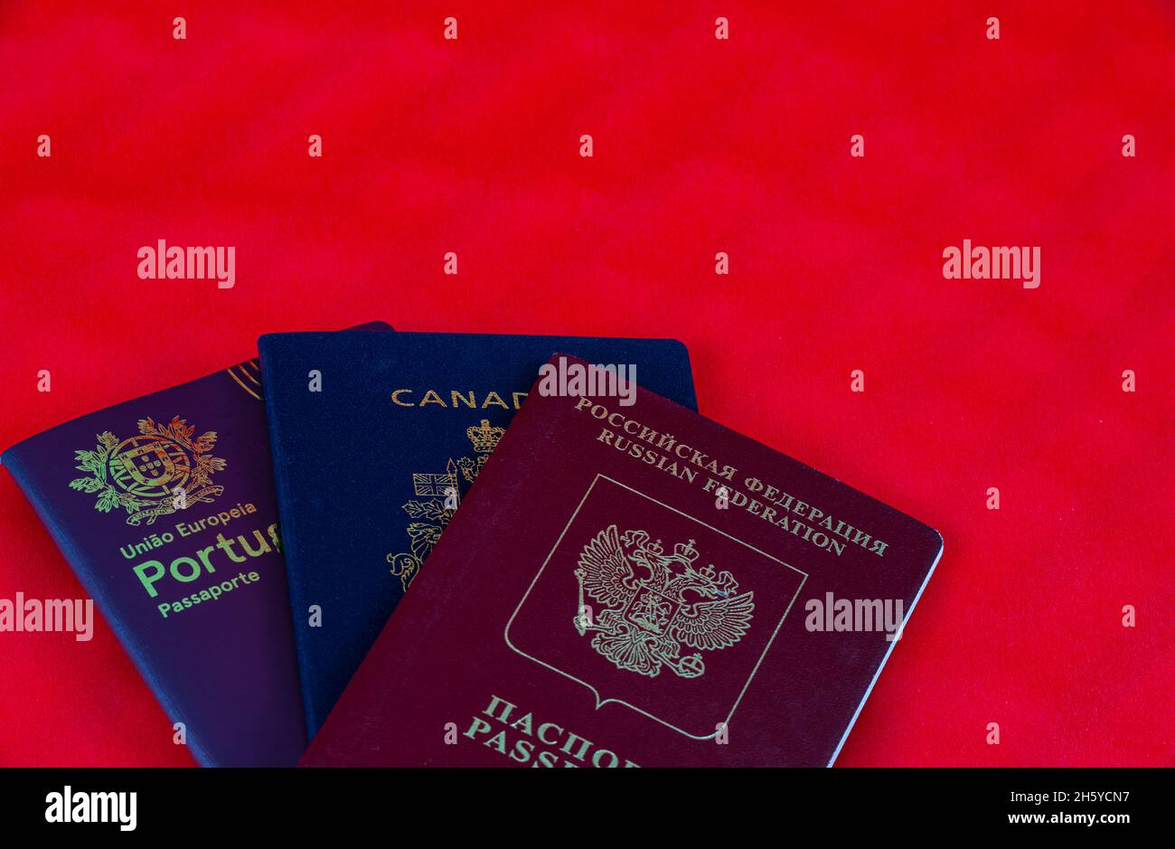 Tre diversi passaporti isolati su sfondo rosso. Passaporti canadesi, portoghesi e russi per l'ingresso in diversi paesi Foto Stock