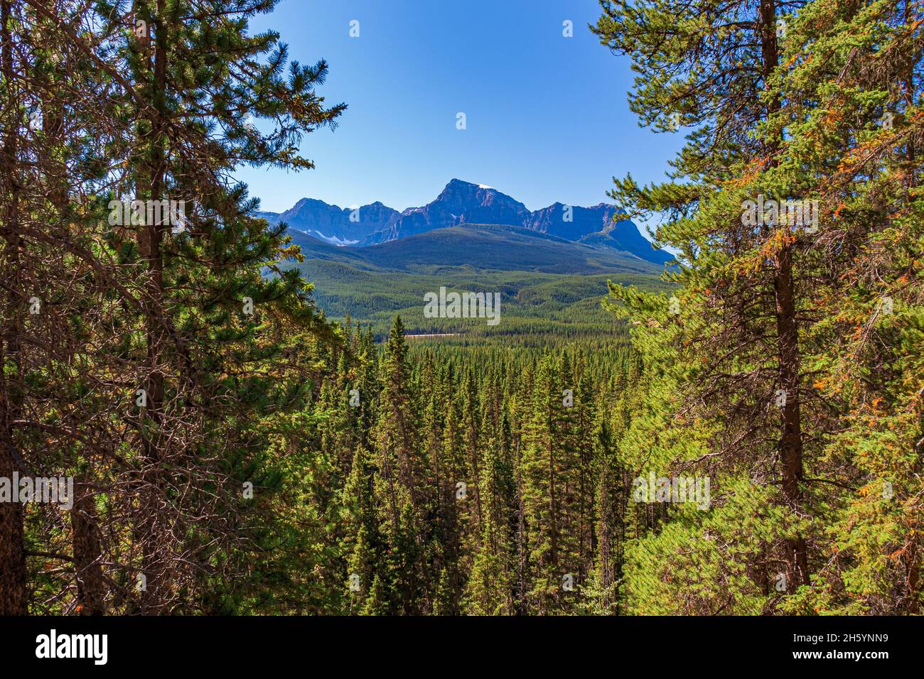 Silverton Falls e Forest Conservation Area Alberta Canada in estate Foto Stock