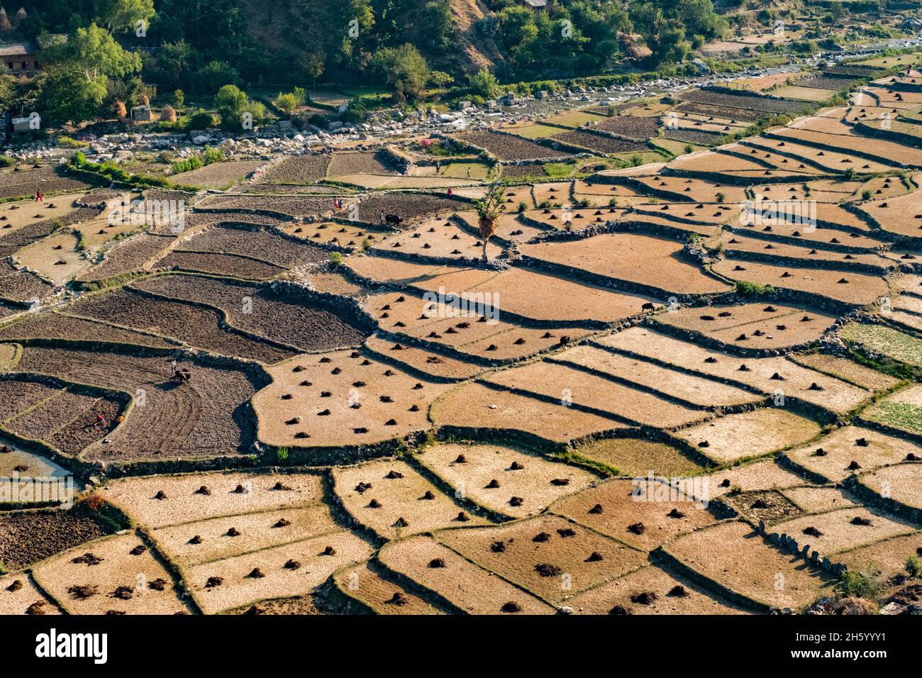 Ottobre 2017. Le aree agricole appena fuori Chainpur, Bajhang District, Nepal. Foto Stock