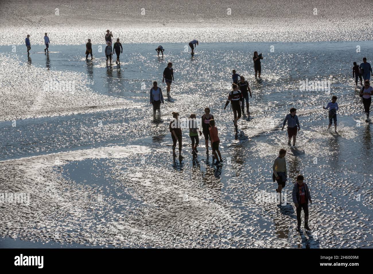 Gruppo di escursionisti che attraversano la Baie de Somme a bassa marea. Le Crotoy, Francia Foto Stock