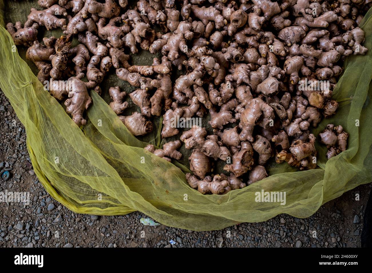 Luglio 2017. Lo zenzero, qui che asciuga per strada, è un raccolto locale comune di contanti. Imugan, Nueva Vizcaya, Filippine. Foto Stock