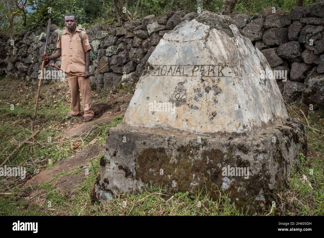 Settembre 2017. Il "Buffalo Wall", al confine con il Parco Nazionale di Mgahinga Gorilla, contribuisce a ridurre il conflitto tra animali e animali selvatici mantenendo la fauna selvatica, soprattutto i bufali, nel parco e fuori dai campi agricoli vicini. Il muro fornisce anche una fonte di reddito per i locali che aiutano a costruirlo e mantenerlo, impegnandoli in un'attività di conservazione che supporta i loro mezzi di sussistenza in diversi modi. Parco Nazionale di Mgahinga Gorilla, Uganda. . Foto Stock