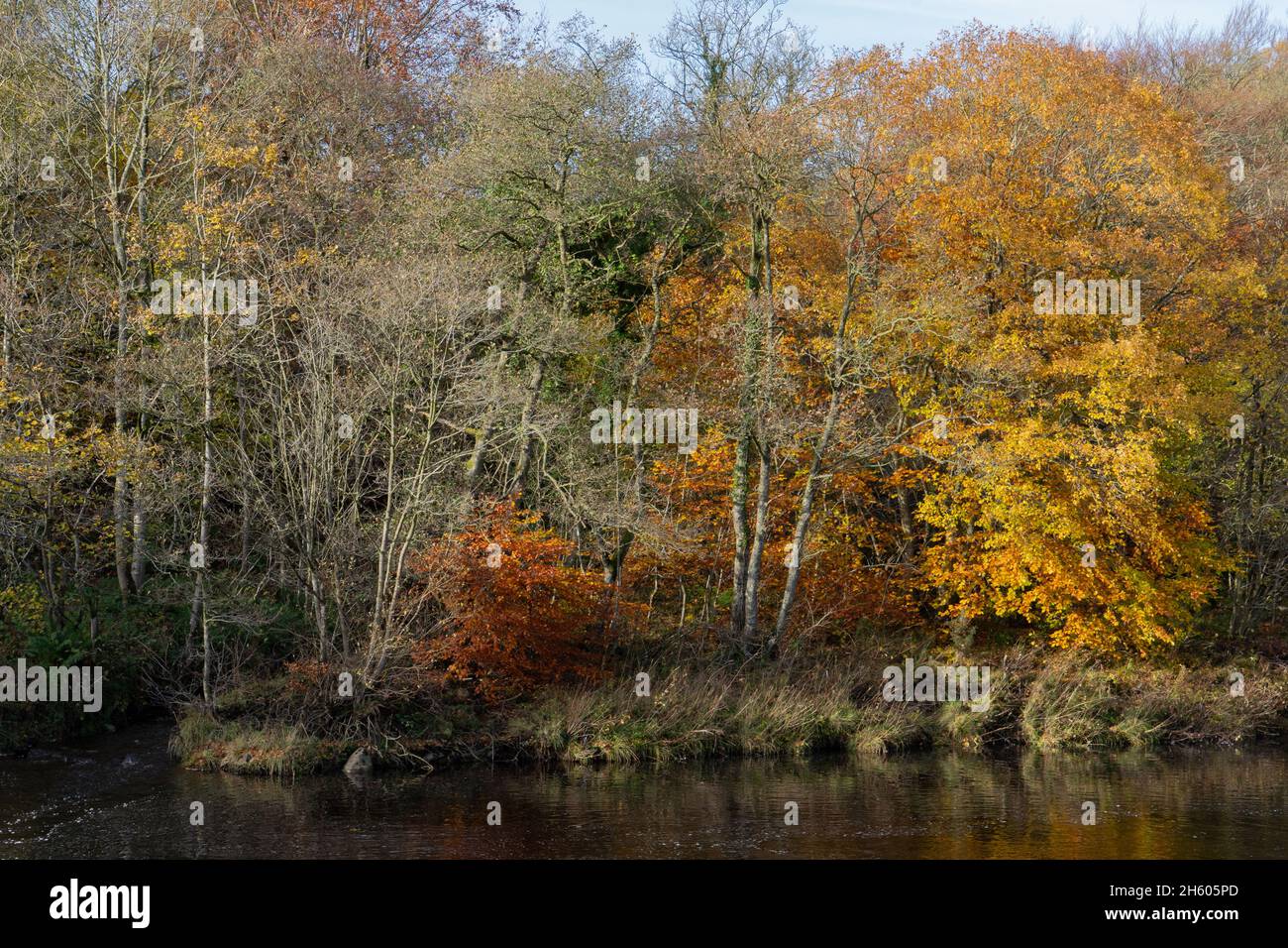 River South Tyne a Featherstone, Northumberland, Regno Unito Foto Stock