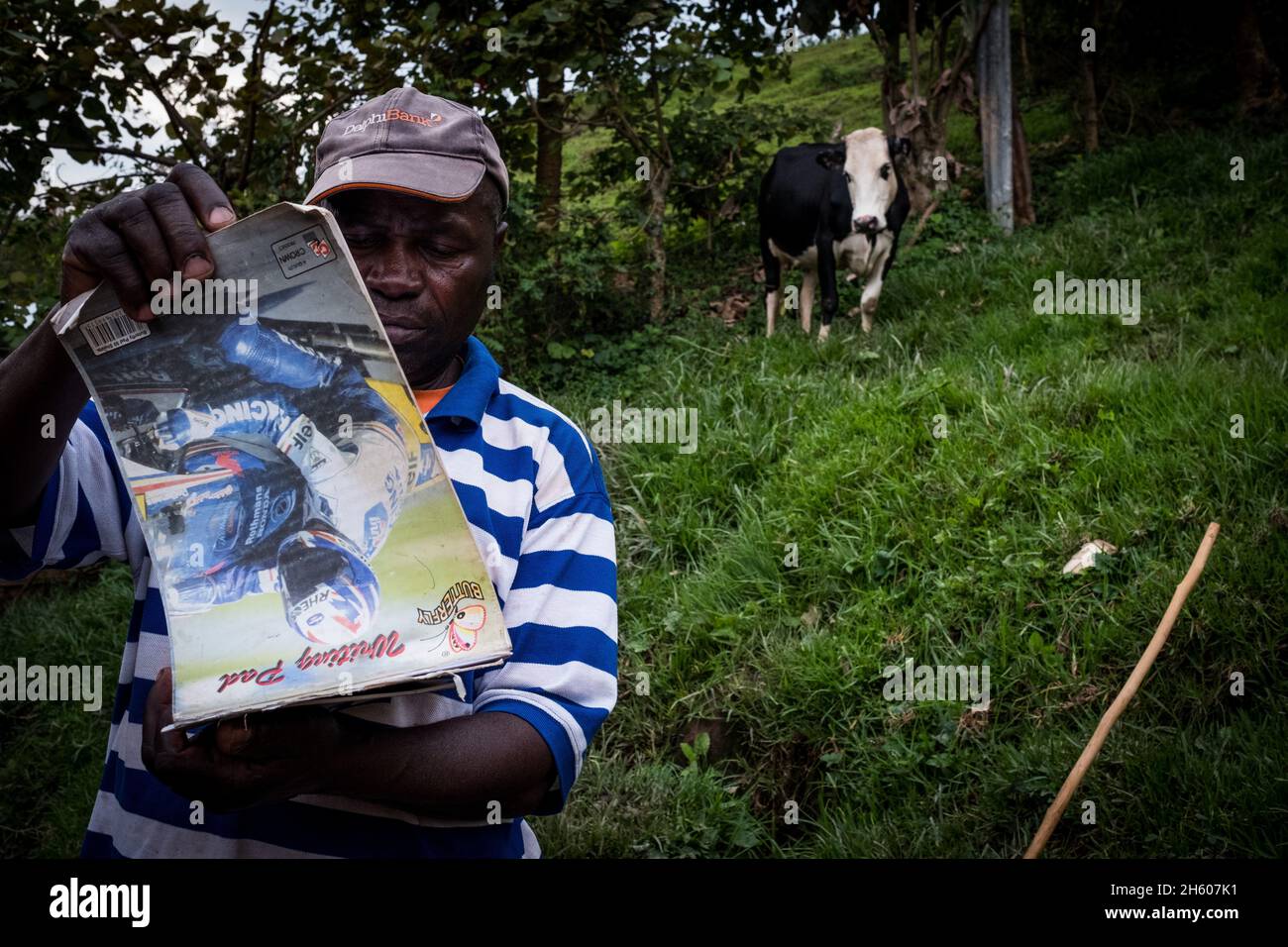 Settembre 2017. Simeo Ntawuruhunga ha ricevuto una mucca dalla Nkuringo Community Conservation and Development Foundation (NCCDF) nell'ambito del loro programma di giovenche. Egli allevia la mucca, mantiene il vitello così cominciando a costruire il suo gregge, e passa la vacca originale al prossimo in linea nel programma giovenca. Ora ha 6 mucche che che producono latte che può vendere localmente. I tori nati vengono venduti per la carne. Nkuringo, Uganda. Foto Stock