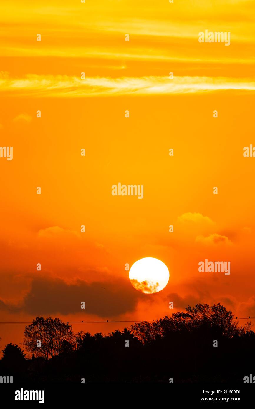 L'alba da dietro una fila di alberi si staglia all'orizzonte in un cielo arancione con alcune nuvole sparse in autunno mattina in Kent, Inghilterra. Le nubi di Cumulus fractus che si sgocciolano attraverso il sole, Foto Stock