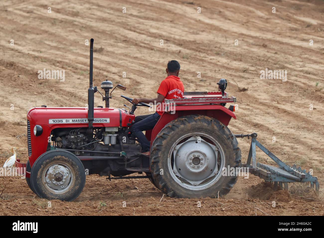 Coltivatore che guida il trattore sul campo. Foto Stock