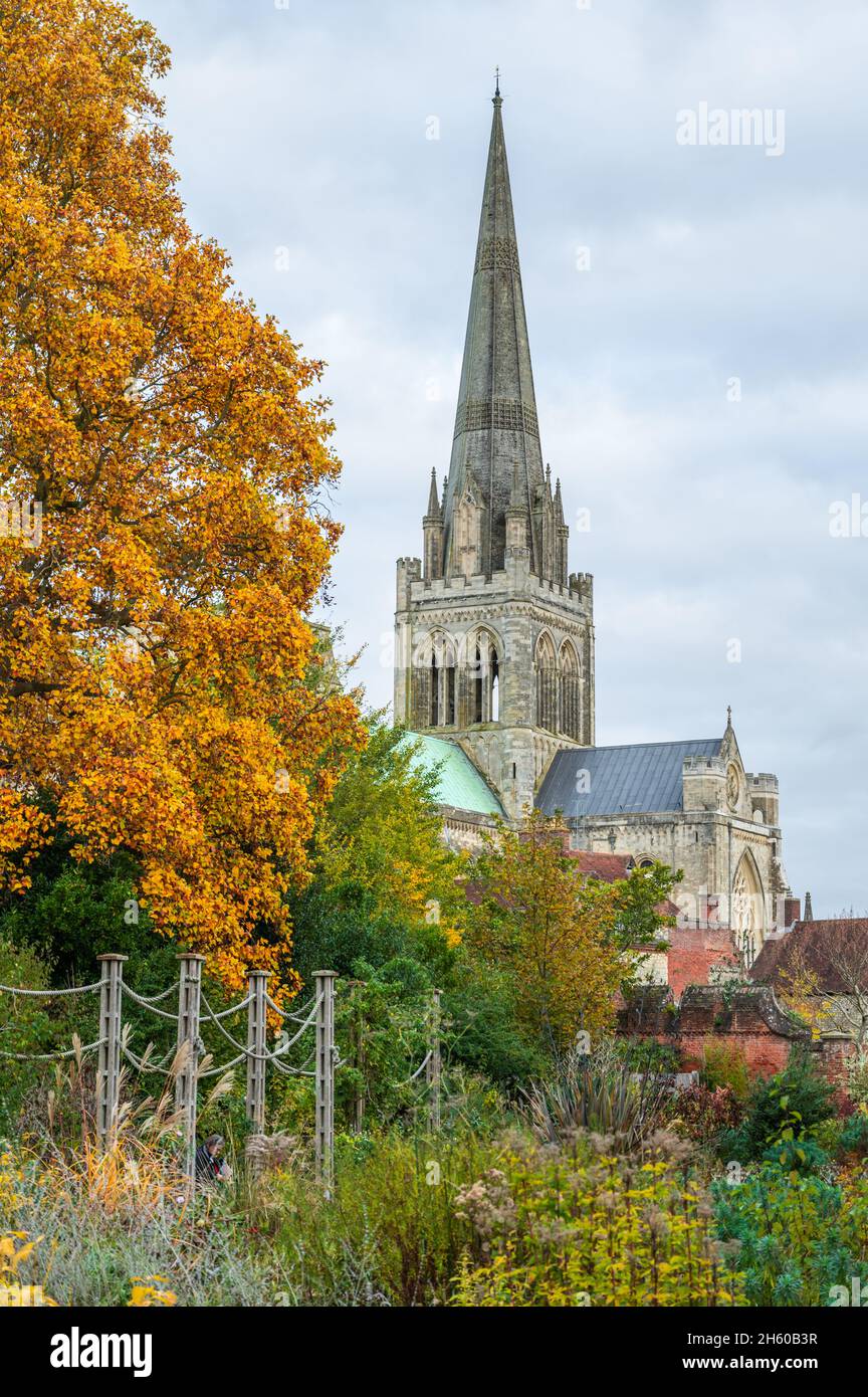 Vista della storica cattedrale di Chichester con i colori e gli alberi d'autunno in una giornata trascorsa nella città di Chichester, nel Sussex occidentale, in Inghilterra, Regno Unito. Foto Stock