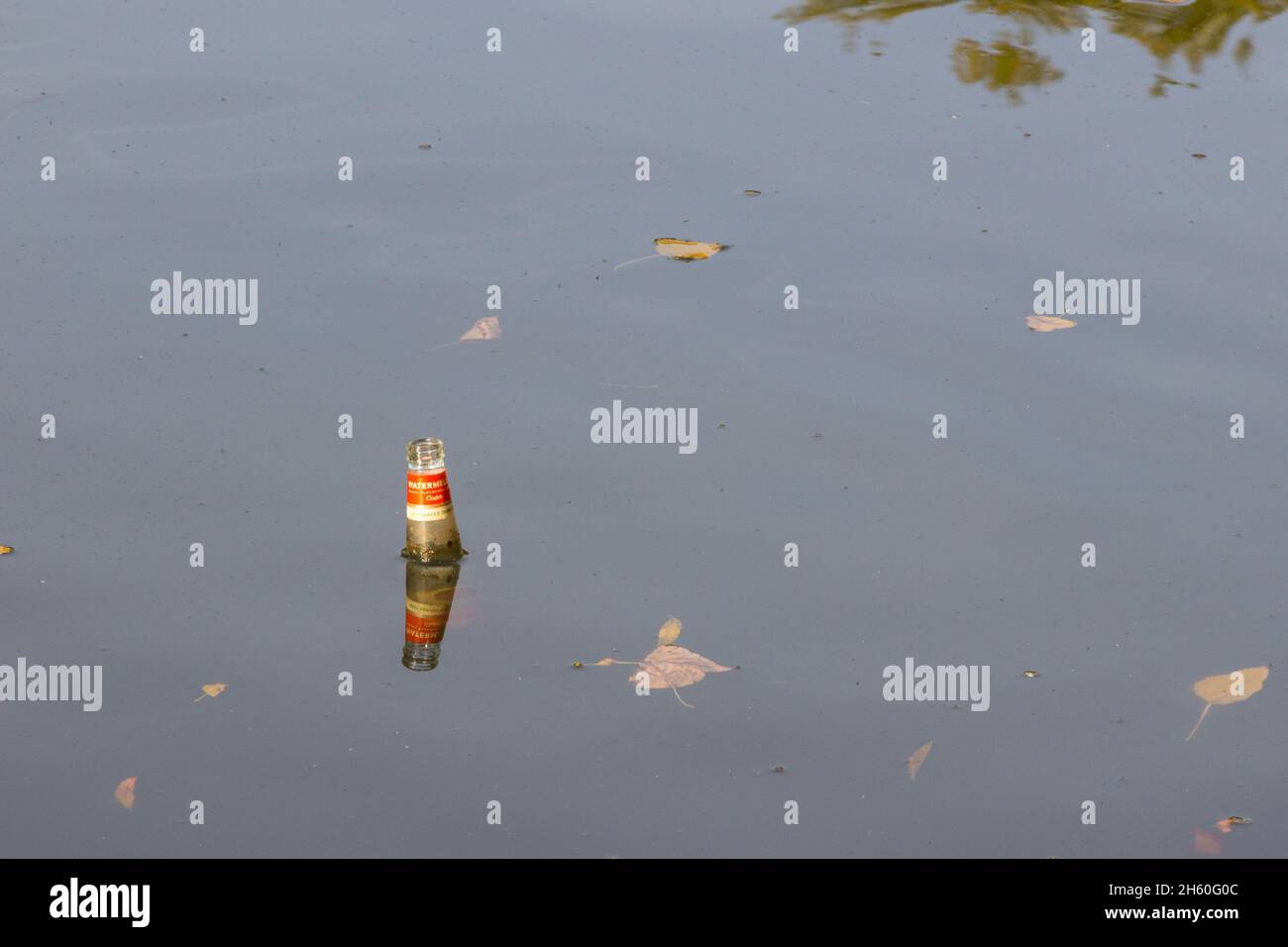 Una bottiglia vuota di sidro aromatizzata al melone Somersby gettata nell'acqua del lago galleggiante sulla superficie Foto Stock