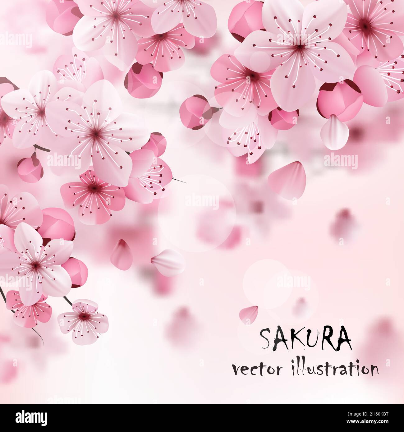 Splendida stampa con fiori sakura in fiore di colore rosa chiaro e scuro e l'illustrazione del vettore del titolo Illustrazione Vettoriale