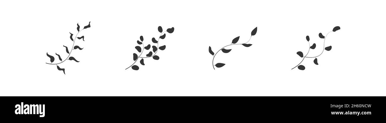 Set botanico, foglia e ramo vettore nero silhouette collezione, foglie e rami fiore invito elementi illustrazione. Illustrazione Vettoriale