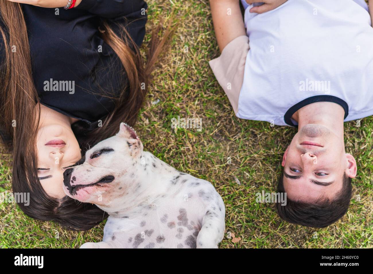 Due giovani e un cane sdraiato sull'erba Foto Stock