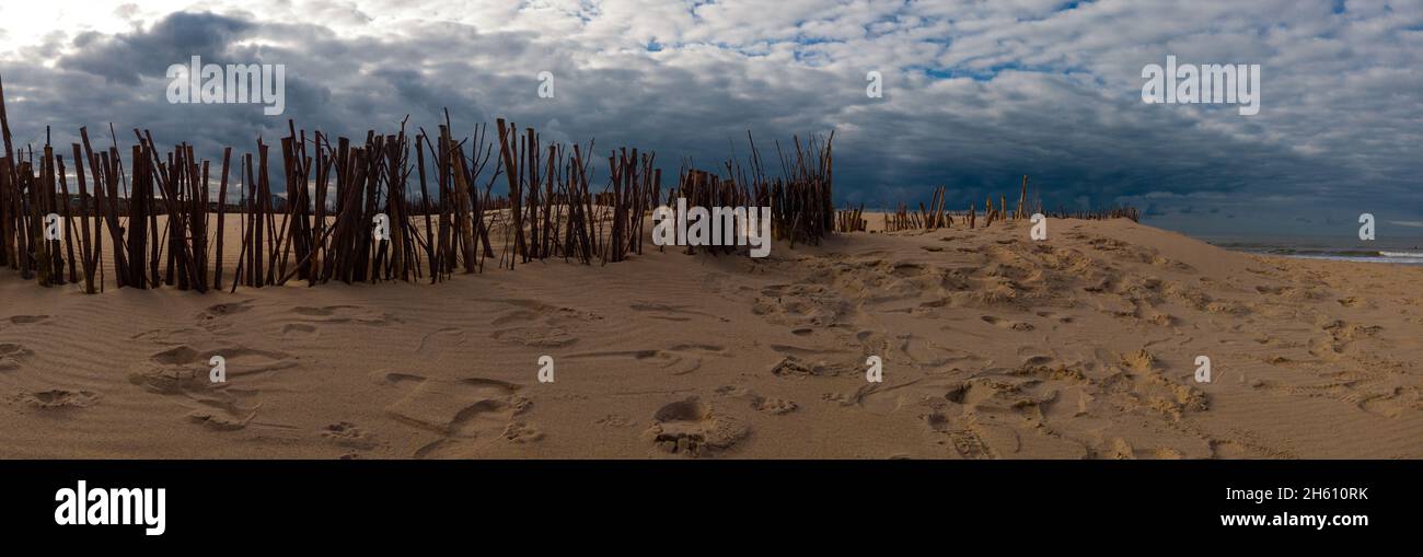 panorama di rami sulla spiaggia come un parabrezza per creare dune con un sacco di passi Foto Stock