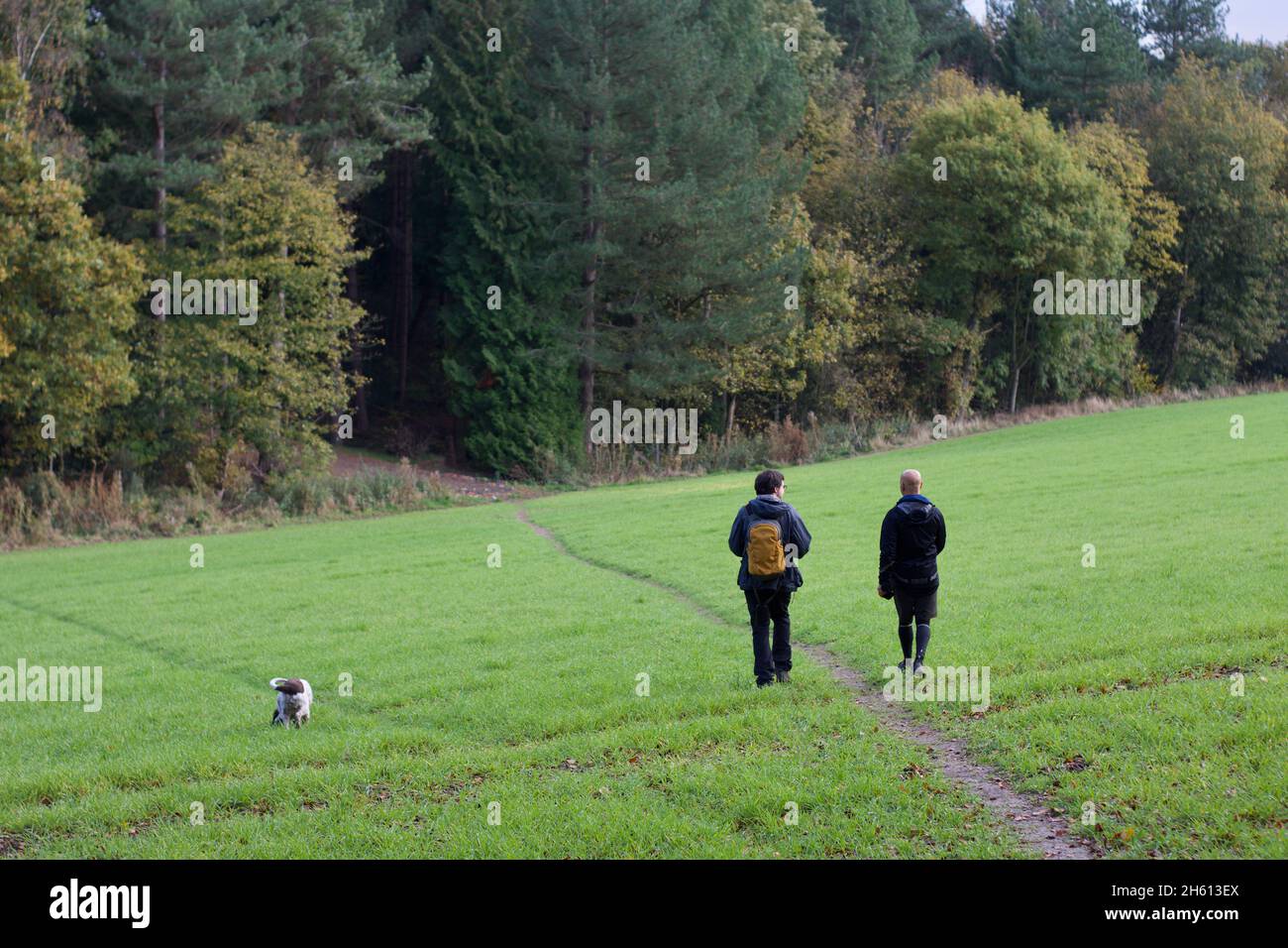 Due uomini con un cane fuori su un'escursione, come camminano attraverso un campo verso un certo bosco Foto Stock