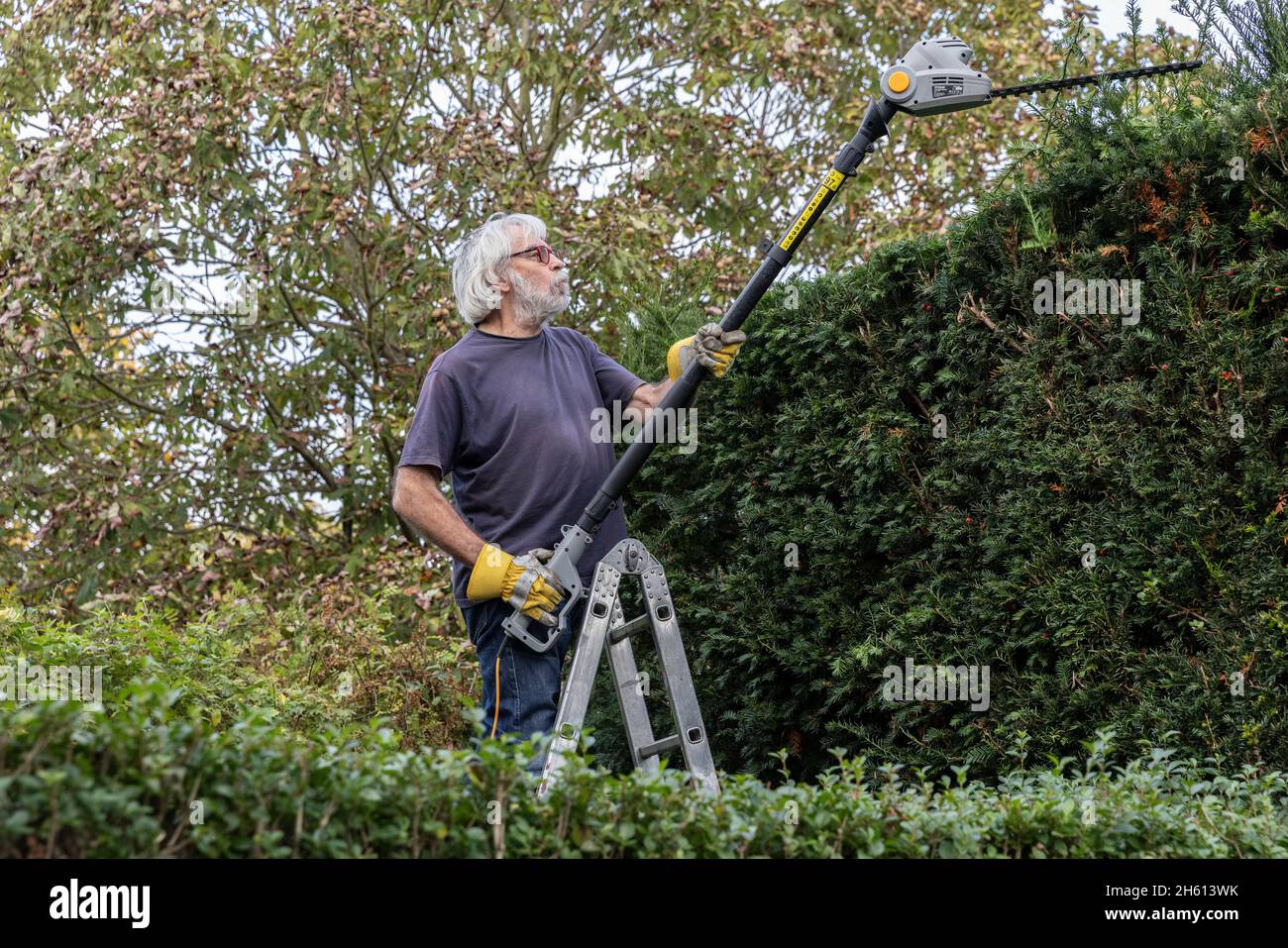 Un uomo barbuto che tagliava la siepe del suo giardino residenziale, Londra, Regno Unito Foto Stock