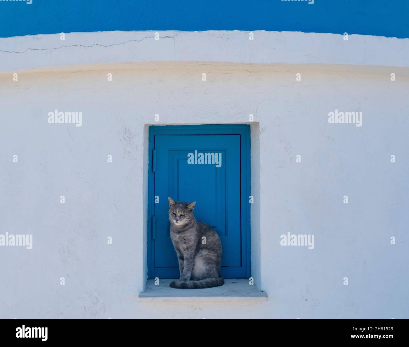 Gatto randagio su una sporgenza della finestra della chiesa, Chiesa di Agioi Anargyri, Capo Greko, Cipro. Foto Stock