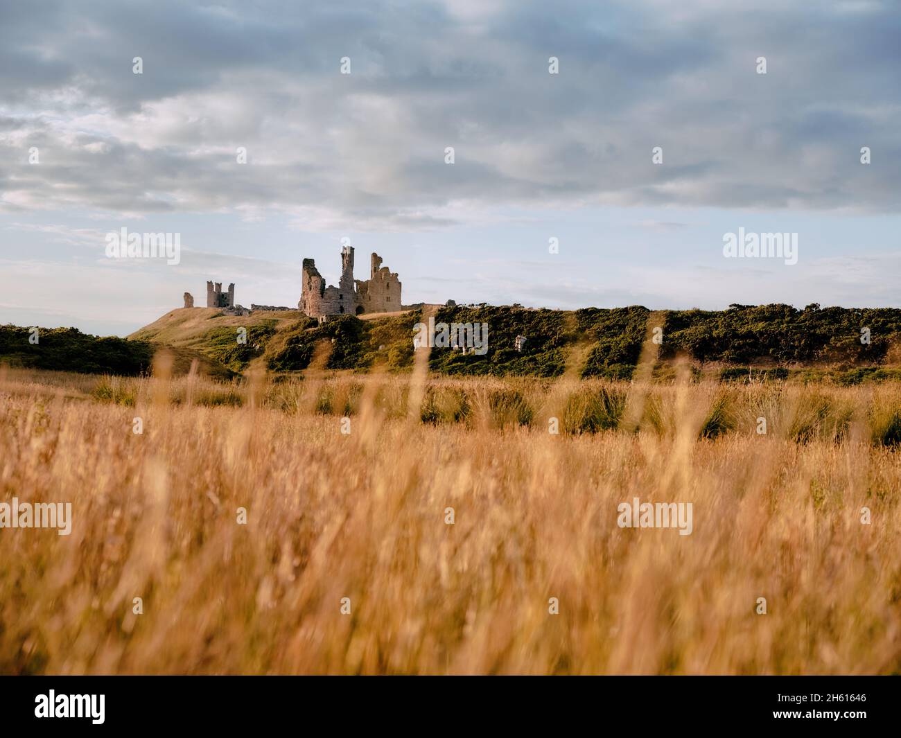 Il paesaggio estivo delle rovine del castello di Dunstanburgh - fortificazione del 14th° secolo nel Croster Northumberland, Inghilterra settentrionale, Regno Unito Foto Stock