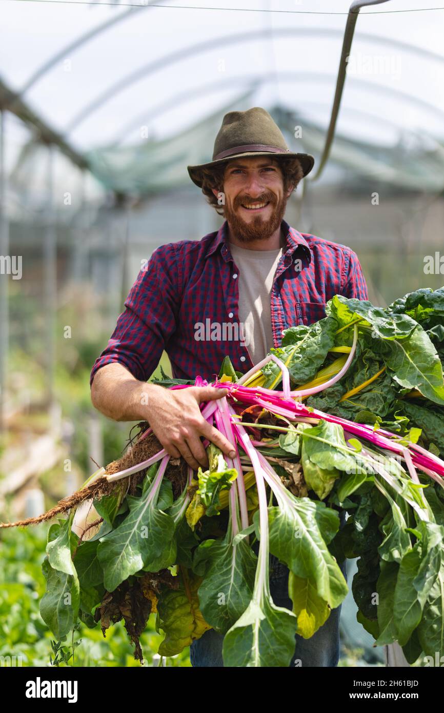 Ritratto di sorridente giovane maschio ported agricoltore che tiene fresco raccolto rabarbaro da serra Foto Stock