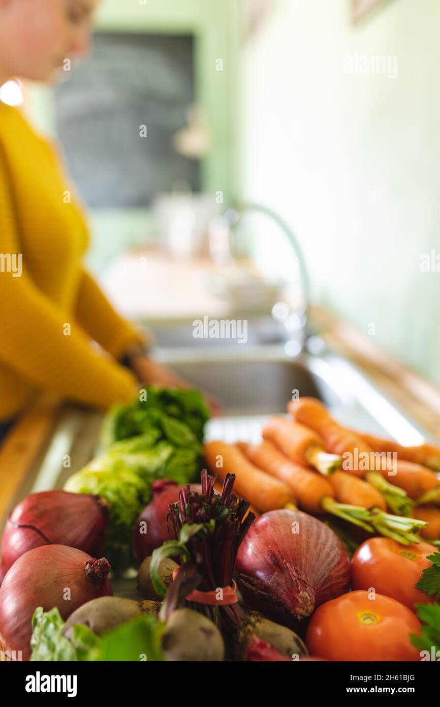 Primo piano delle variazioni di verdure biologiche fresche sul banco della cucina con la giovane donna che usa il lavandino Foto Stock