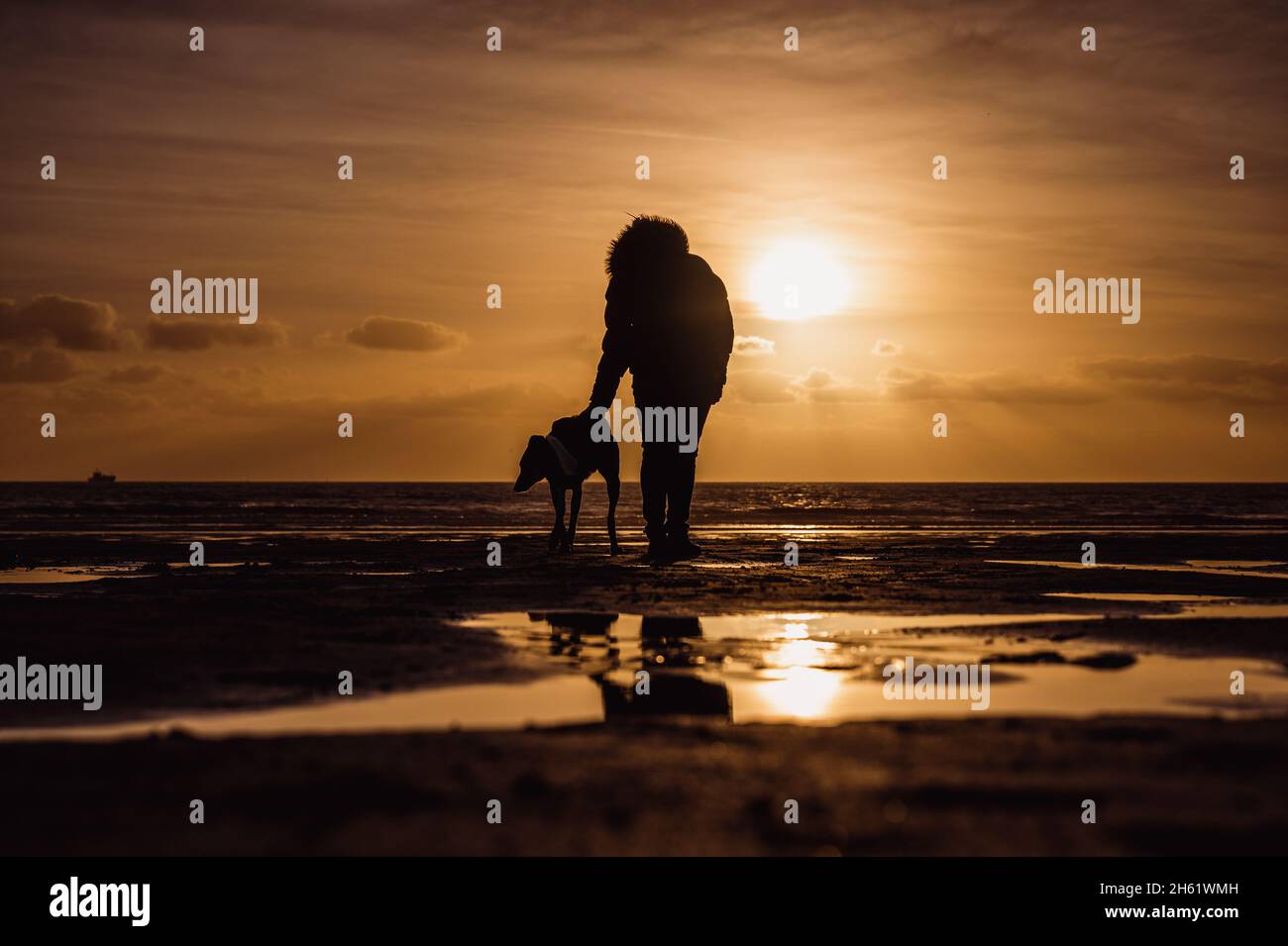 Silhouette di una donna che gioca fetch con il suo cane su una spiaggia al Tramonto Foto Stock
