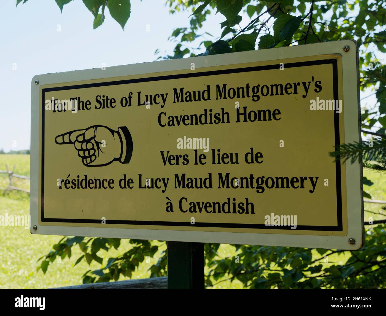 anne di scuderie verdi', autore lucy maude montgomery, canada, storia immaginaria, percorso in legno infestato, natura, isola del principe edoardo Foto Stock