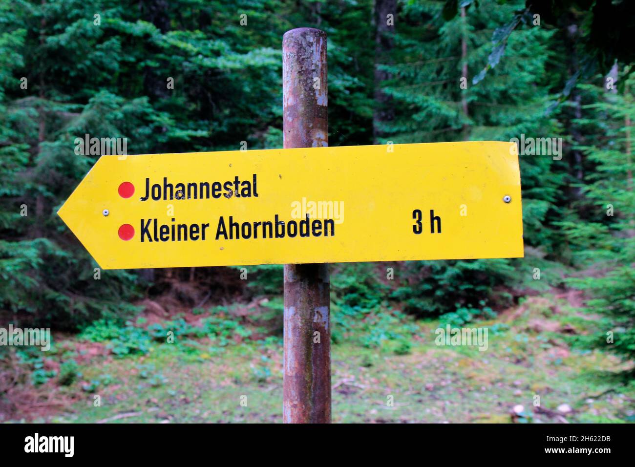 escursione in johannestal, kleiner ahornboden, cartello informativo, nel hinterriss, austria, tirolo, europa Foto Stock