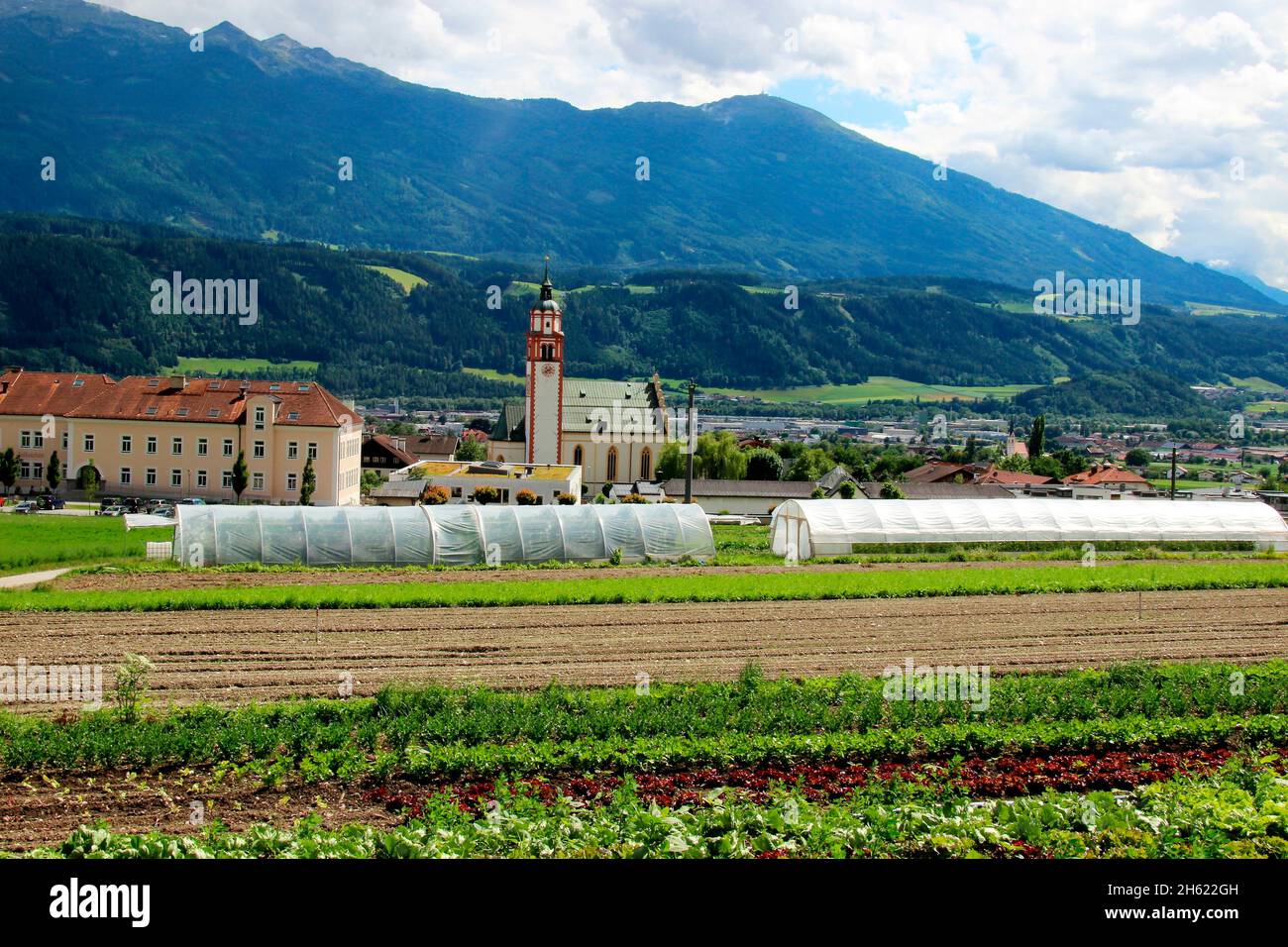 austria,tirolo,absam,vista città,europa,montagne,catena montuosa,alpi,località,case,case,chiesa,prati,campi,alberi,fiore,stagione,estate,deserta, Foto Stock