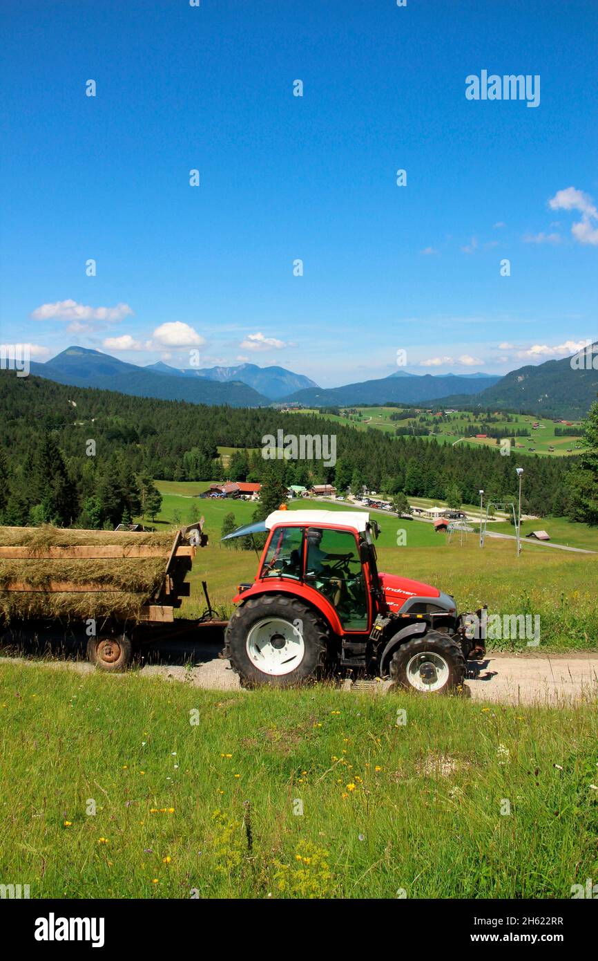 il vecchio uomo guida lindner geotrac 73,3300 cm–³,3 cilindri,bj. 2009,trattore alla raccolta del fieno,germania,baviera,alta baviera,terra di werdenfelser,valle dell'isar,mittenwald,wildensee,buckelwiesen,carretto del fieno,luttensee Foto Stock