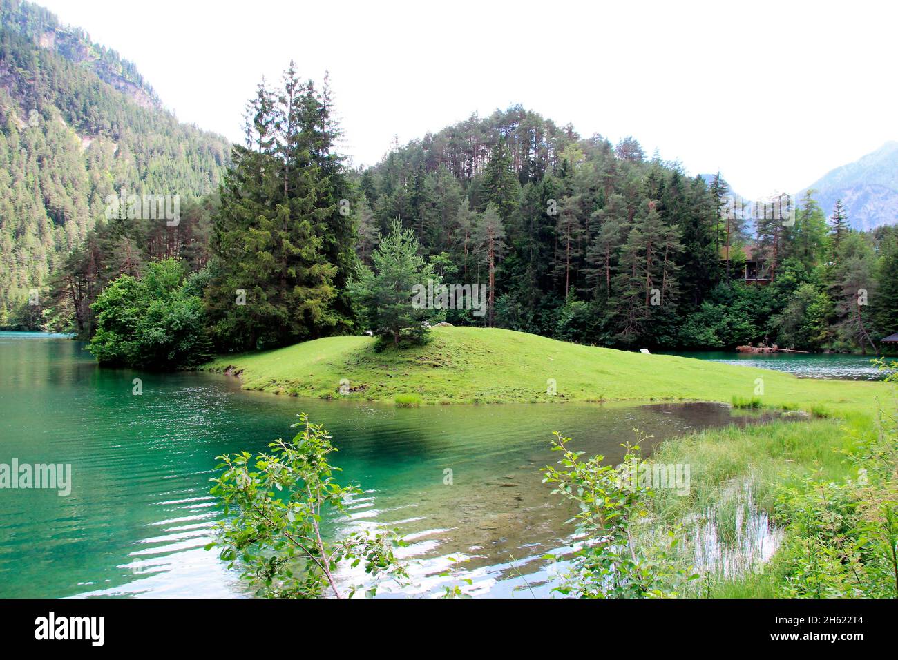fernsteinsee am fernpass reutte,lago,estate,montagna,verde,acqua,alberi,paesaggio,austria,tirolo,prato,ausserfern,isola paesaggio Foto Stock