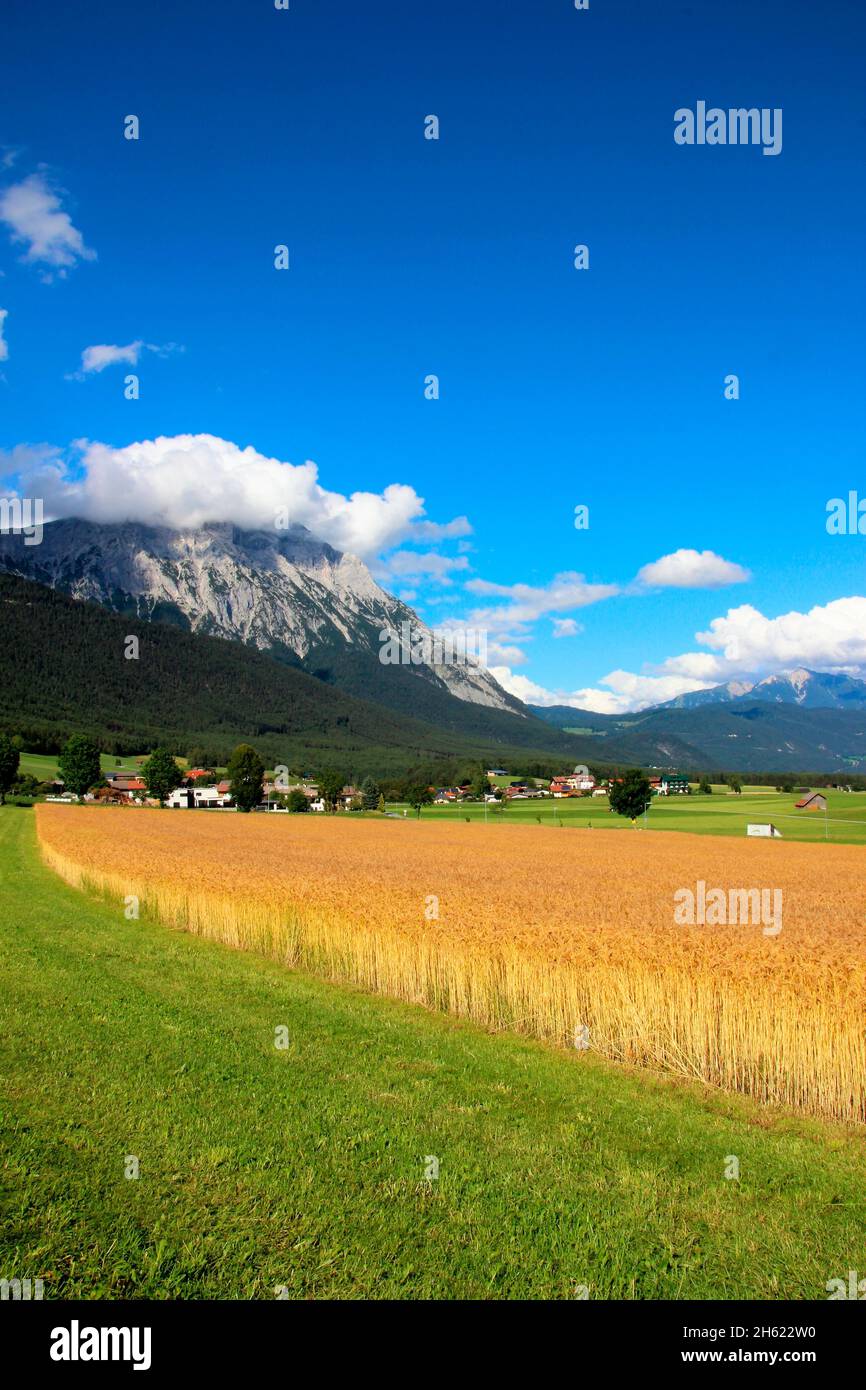 austria,tirolo,wildermieming,vista città,hohe munde,estate,nord tirolo,altopiano di mieminger,paesaggio montano,località,prato,campo di grano,natura,rurale,idillio, Foto Stock
