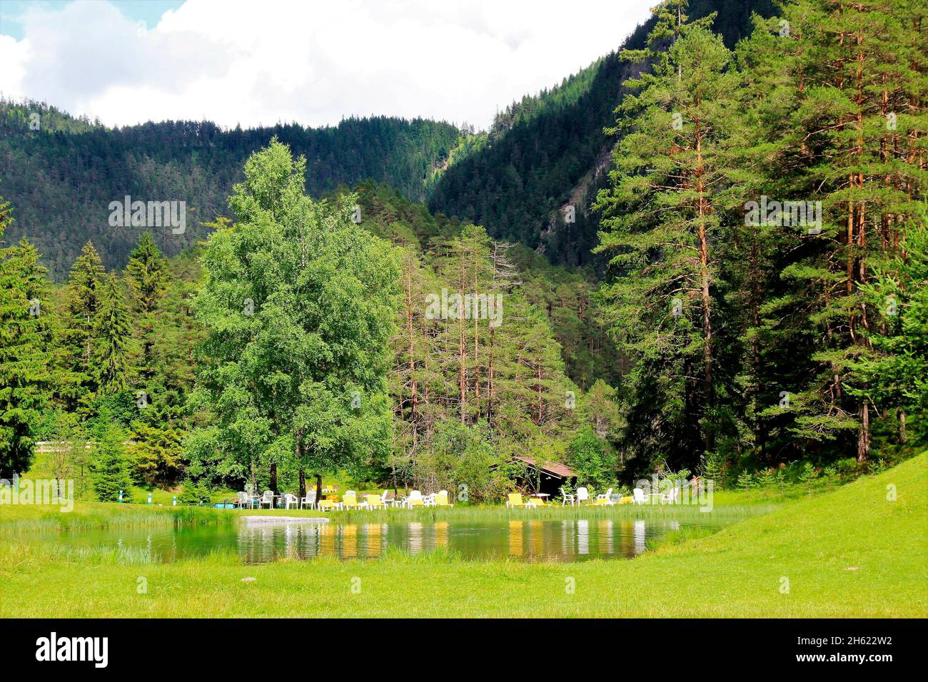 fernsteinsee am fernpass reutte,lago,estate,montagna,verde,acqua,alberi,paesaggio,austria,tirolo,prato,sdraio Foto Stock