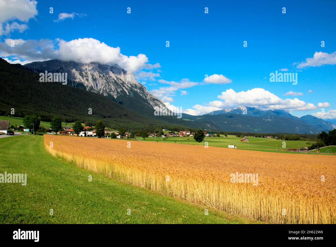 austria,tirolo,wildermieming,vista città,hohe munde,estate,nord tirolo,altopiano di mieminger,paesaggio montano,località,prato,campo di grano,natura,rurale,idillio, Foto Stock