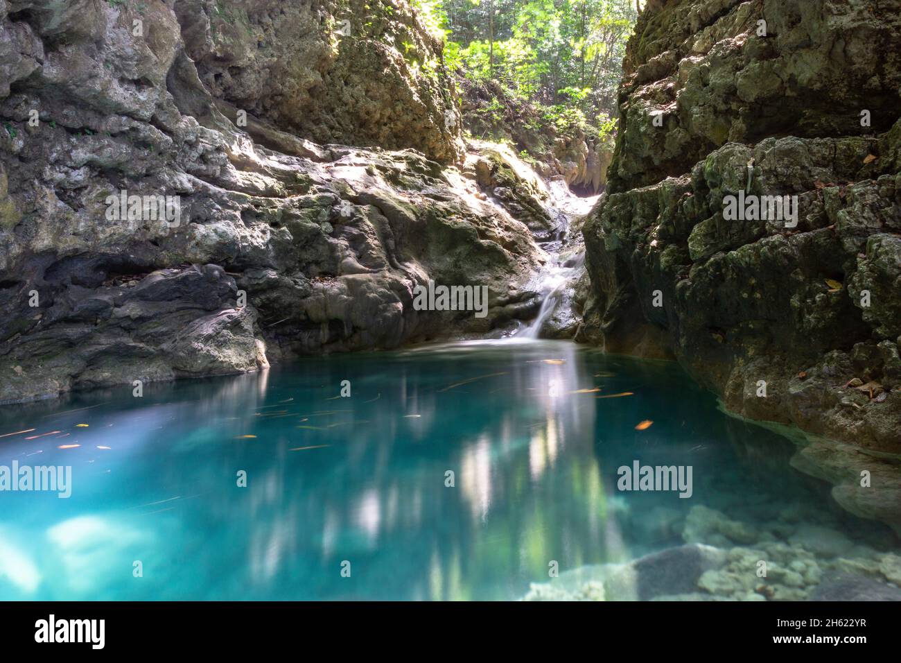 nord america,caraibi,repubblica dominicana,provincia di puerto plata,yasica,charcos de los militares vicino all'eco-lodge tubagua Foto Stock