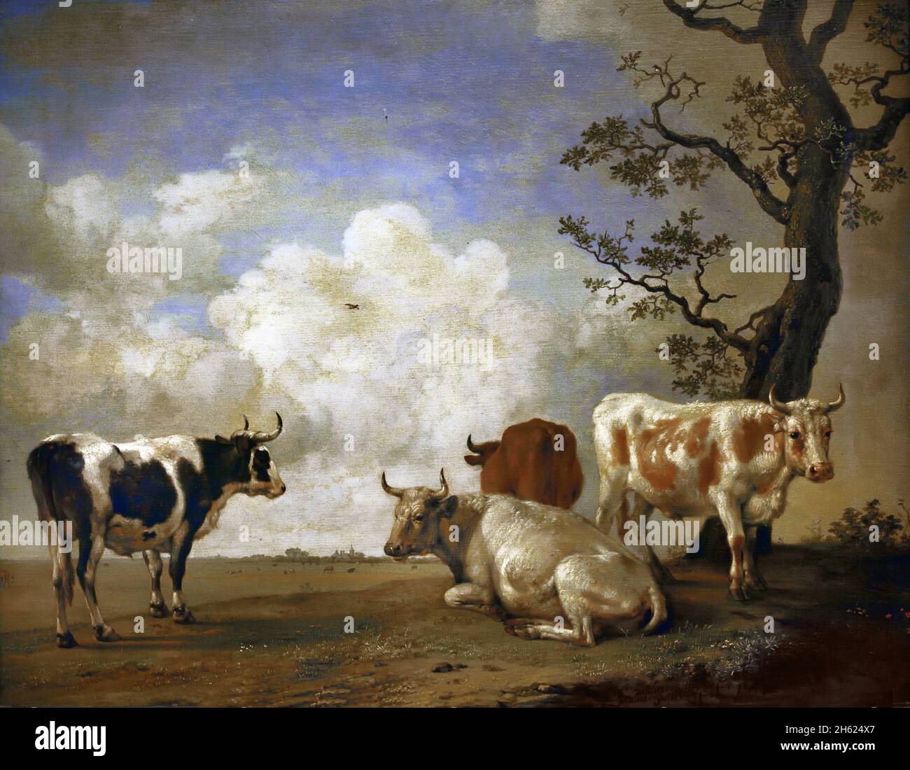 Paesaggio con quattro tori di Paulus Potter 1625 - 1654 pittore olandese specializzato in animali e paesaggi Paesi Bassi. Foto Stock
