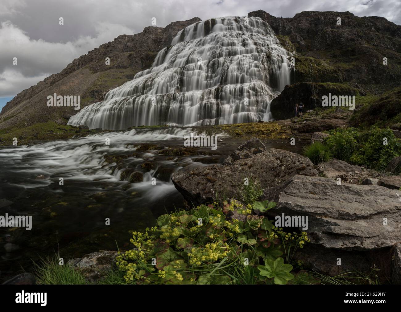 la cascata dynjandi nei fiordi occidentali dell'islanda. Foto Stock