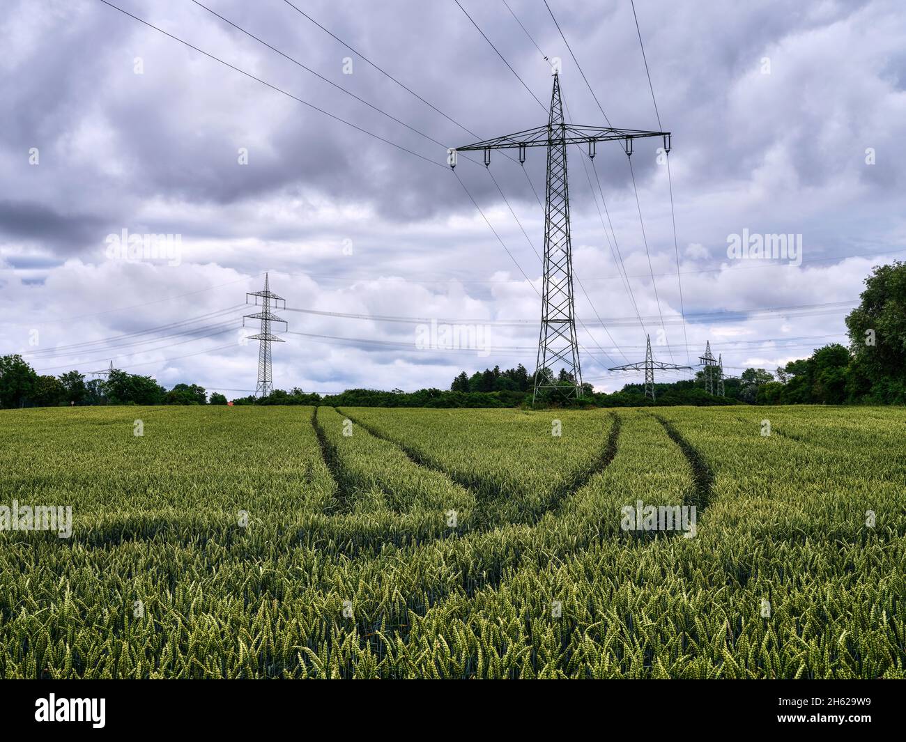 nuvole su campo di mais nel lechfeld Foto Stock