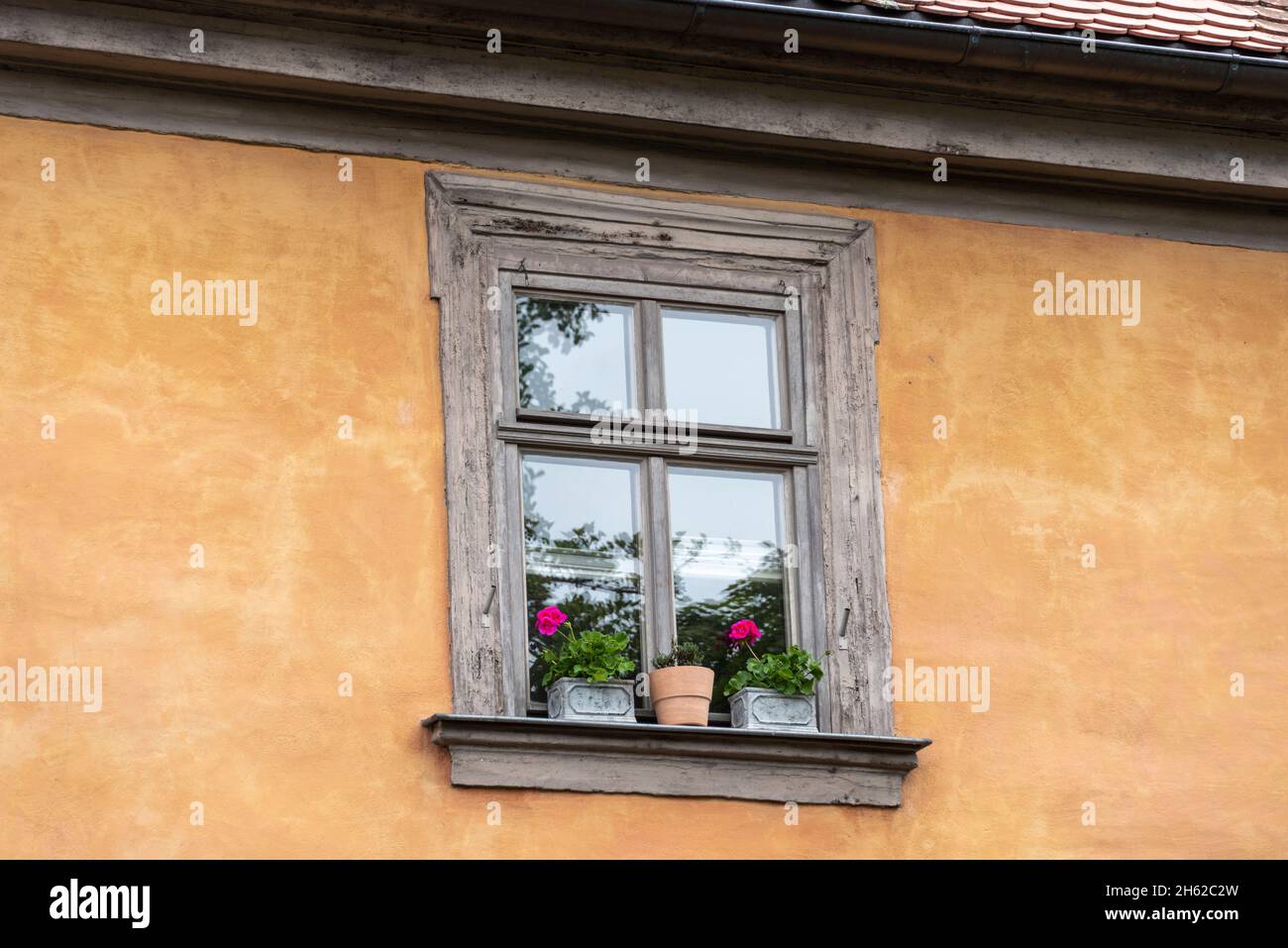 germania, baviera, alta franconia, bamberg, finestra storica, fiori sulla soglia della finestra, la città vecchia di bamberg, appartiene al patrimonio mondiale dell'unesco Foto Stock