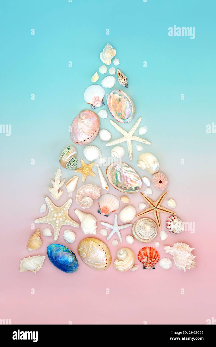 Albero di Natale seashell astratto. Simbolo estivo per l'emisfero meridionale alternativo concetto di Natale su sfondo blu pastello rosa. Disposizione piatta, vista dall'alto. Foto Stock